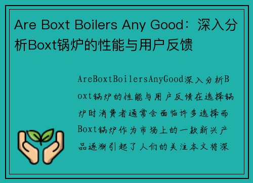 Are Boxt Boilers Any Good：深入分析Boxt锅炉的性能与用户反馈